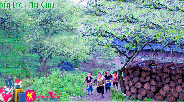 Du Lịch Tây Bắc Mùa Hoa Đào 2015